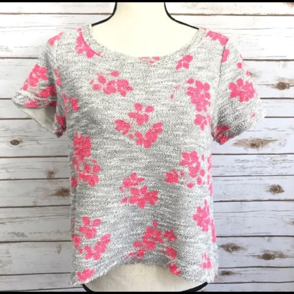 Anthropologie Gray and Pink Top